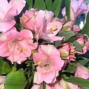 Meet your Posher, Jasmine